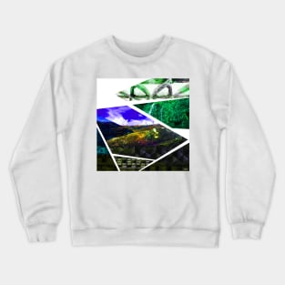 oaxaca in colors, art, marble and architecture landscape ecopop collage photo Crewneck Sweatshirt